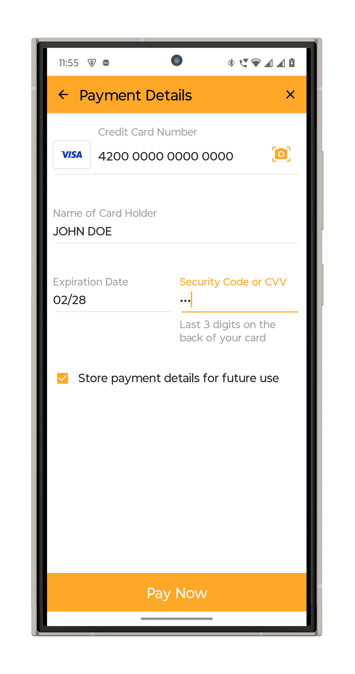 Store payment details during payment